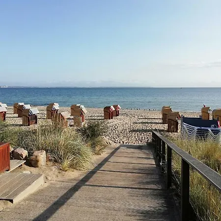 Seepferdchen ティメンドルファー・シュトラント