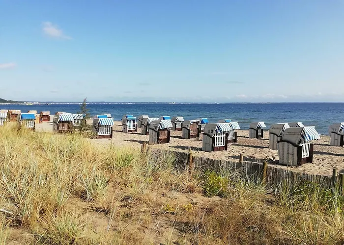 Seepferdchen Timmendorfer Strand