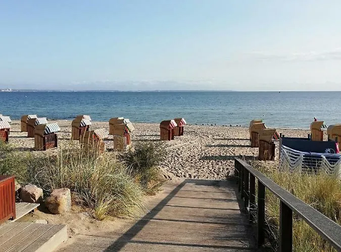 Seepferdchen Timmendorfer Strand